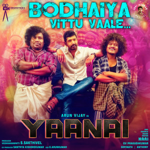 Bodhaiya Vittu Vaale (From "Yaanai")