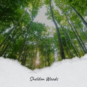 Sheldon Woods