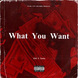 What You Want(feat. Turbo309) (Explicit)