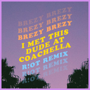 I Met This Dude at Coachella (R!OT Remix)