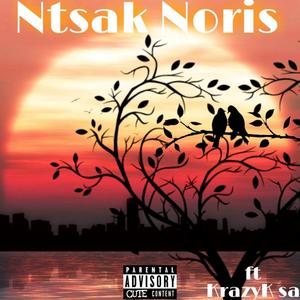 City Blues(feat. Krazyk Sa)