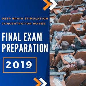 Final Exam Preparation - 2019 Deep Brain Stimulation Concentration Waves