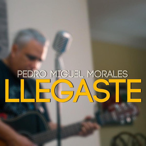 Llegaste (Acústico)