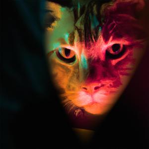 Breves Destellos de Belleza