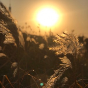 靠自己 (DJ伟然版)