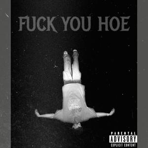 **** YOU HOE (feat. Thorn Beats & AB $lim) [Explicit]