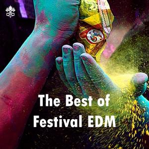 The Best of Festival EDM