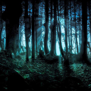 Fay, o espírito indomável