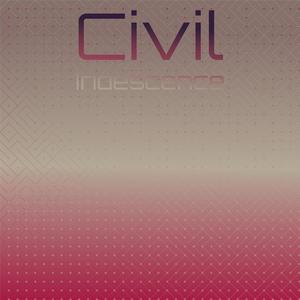 Civil Iridescence