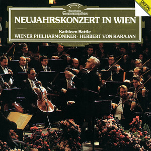 Radetzky-Marsch, Op. 228 (拉德斯基进行曲，Op. 228) (Live At Grosser Saal, Musikverein, Vienna / 1987)