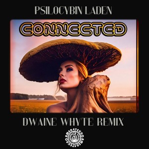 Connected (Dwaine Whyte Remix)