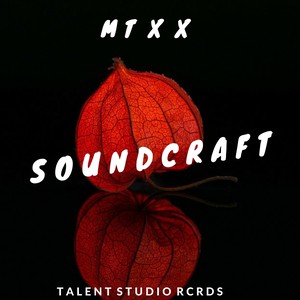 Soundscraft