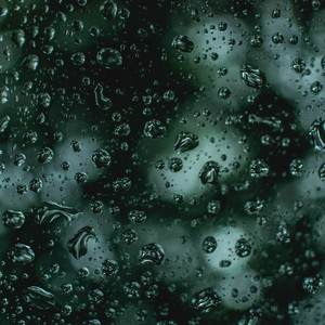 Hydrophonic Rains