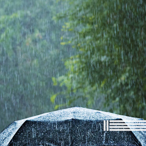 雨夜(可循环)封面