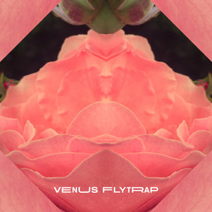 Venus FlyTrap (Explicit)