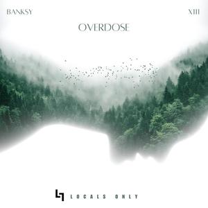 Overdose (feat. XIII)