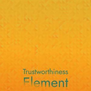 Trustworthiness Element