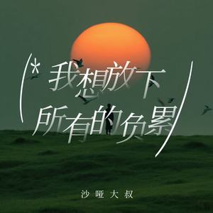 我想放下所有的负累 (烟嗓男版)