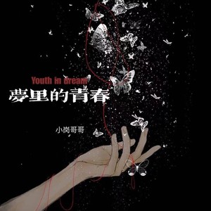 梦里的青春