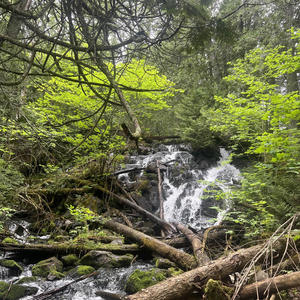 Wrong (feat. Grave Pact) (Explicit)