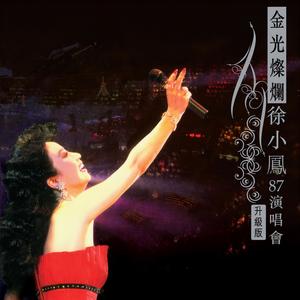 随想曲 + 婚纱背后 (Live) - 徐小凤封面