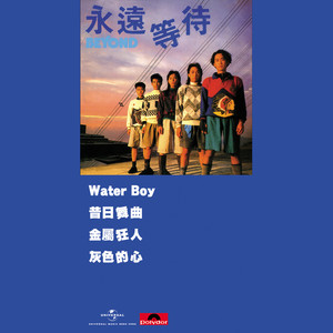 灰色的心封面