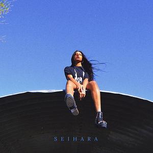 door wide open (Explicit)