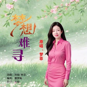 梦想难寻 (女版伴奏)