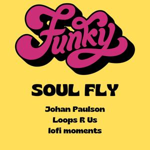 Funky Soul Fly