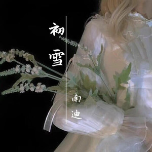 南迪 - 初雪