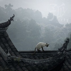 越长大越孤单remix封面