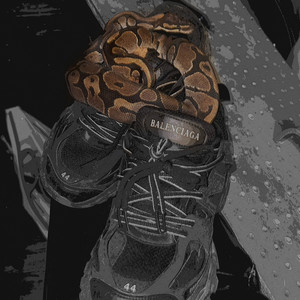 Snake in My Balenciez! (Explicit)