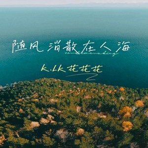 随风消散在人海 (伴奏)