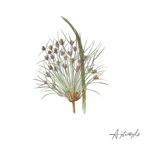 Woollongong (Microtrauma Remix)