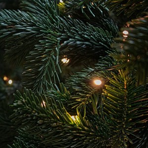 We Wish You a Merry Christmas