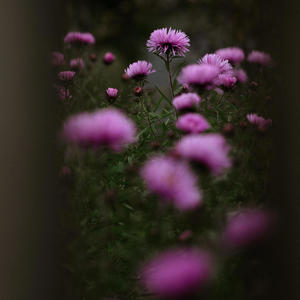 I thought of you often and then I woke up