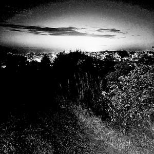 Kriss - Never Going Down That Path Again