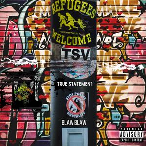 True Statement (Explicit)