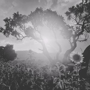 MUKONDELELI (Explicit)