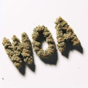 I Hate Woa (feat. Irrelevant) (Explicit)