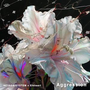 Aggression (Radio Edit)