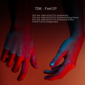 Feel (Seasoned Drama Dub Mix)