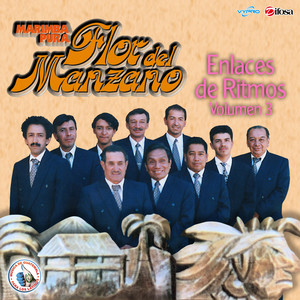 Enlaces de Ritmos Volumen 3. Música de Guatemala para los Latinos