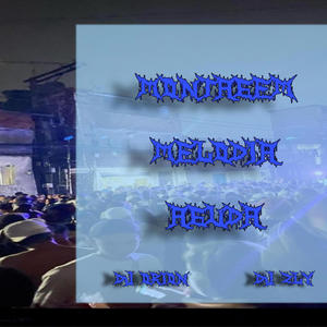 MONTAGEM MELODIA AGUDA (feat. DJ ZL7)