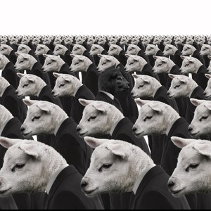 BLACK SHEEP (Explicit)