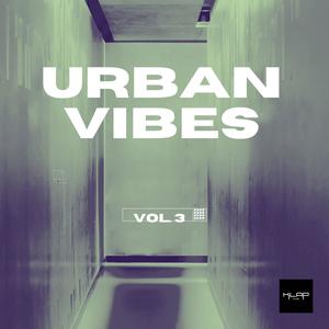 Urban Vibes: Volume 3