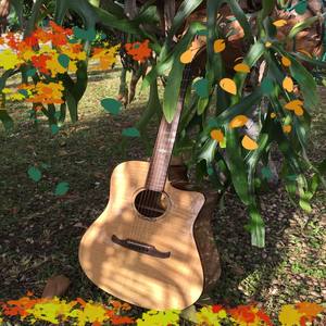 Canta Mi Guitarra