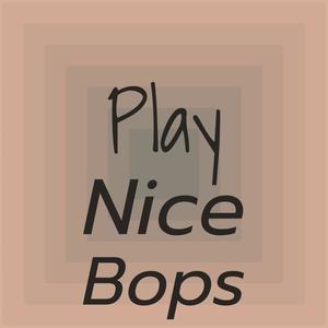 Play Nice Bops
