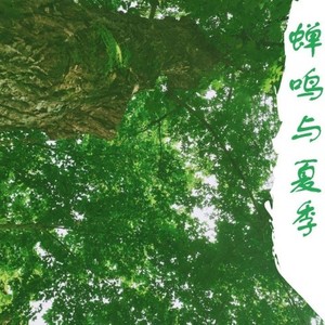 蝉鸣与夏季
