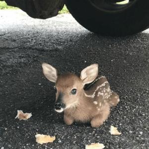 copacetic (Explicit)